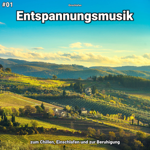 Entspannungsmusik, Pt. 49