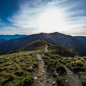 内心的平和 Nèixīn de Pínghé