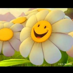 002没人注定你悲伤 _1