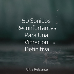 Creatividad