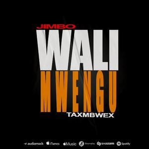 WALIMWENGU (Special Version)