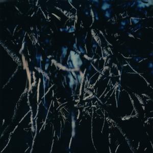 The Hope of Becoming