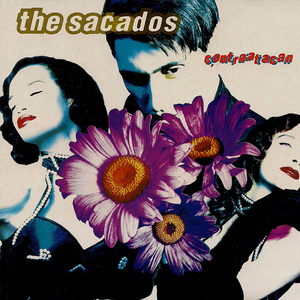 Hablándole a La Pared