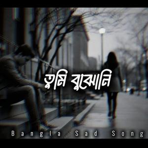 তুমি বুঝোনি