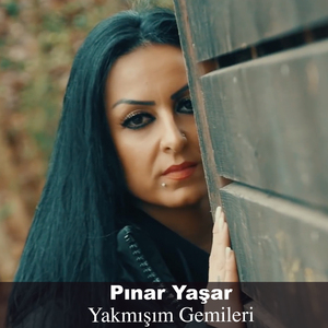 Yakmışım Gemileri