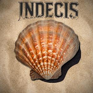 Coquillage de Saint-Nazaire