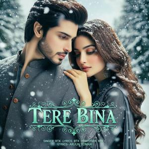 Tere Bina