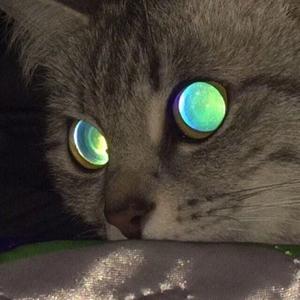 抽象FREESTYLE FINALL(1)