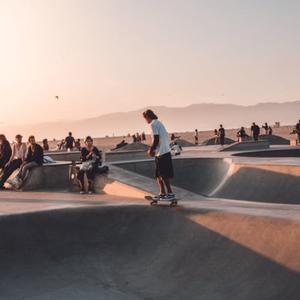 Sunlight Through Cypress