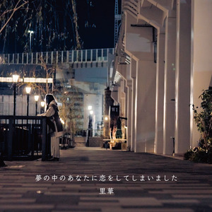 夢の中のあなたに恋をしてしまいました