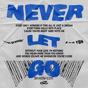 Never Let Go (Shadw Edit)