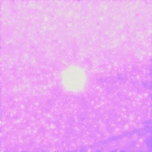 mirtazapinemedicationplan