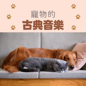 狗狗想睡觉