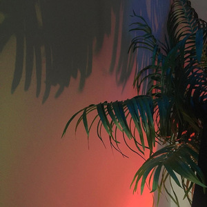 虚 设(Jocelyn Flores Remix)