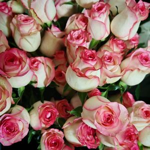 《灵动琴音点亮旅行》