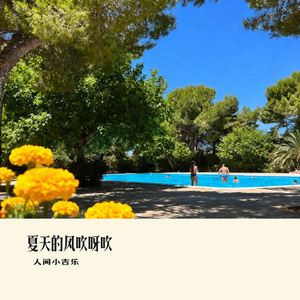 夏天的风吹呀吹
