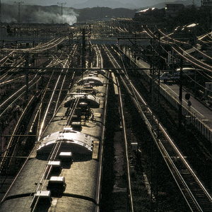瓦の屋根に雪が降る