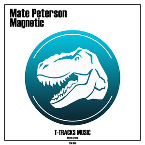 Magnetic (Original Mix)