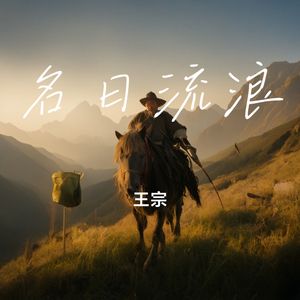 名曰流浪