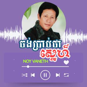 ចង់ប្រាប់ថាស្នេហ៏-ណយ វណ្ណេត-Chang Prab Tha Sne