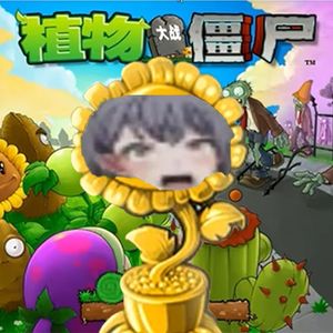 crazy mygo（未梦未觉 remix）