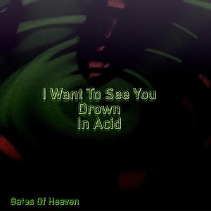 I Want To See You Drown In Acid