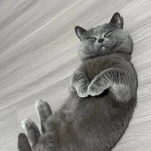 A little faster（再快一点）