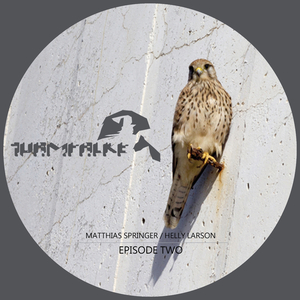 Alea iacta est (Helly Larson Remix)