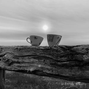 Tulljkaran (Analius har sett ei ugle)