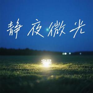 静夜微光