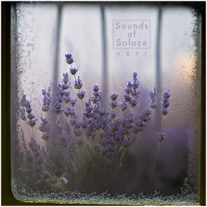 Sounds Of Solace