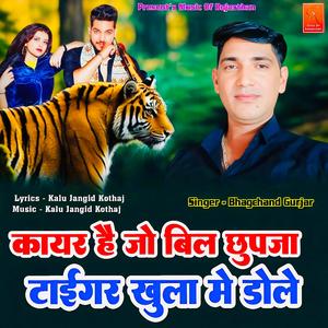 Kayar H Jo Bil Me Chupja Tiger Khula Me Dole