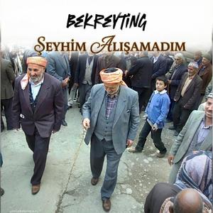 Şeyhim Alışamadım - Bekreyting Ai