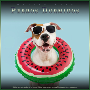 Música para perros