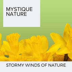 Mountain Bliss New York