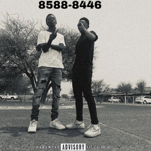 8446-8588 (Freestyle)