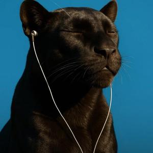 Salvation (feat. JADYN)