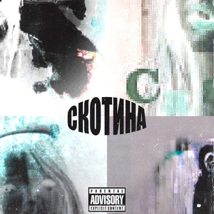 Скотина (Remix)