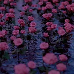 Feelings. (Missed Calls)