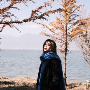 如果我们不曾勇敢过 洪静雯