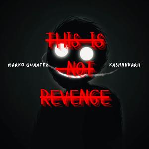 this is not revenge (feat. Kashhhkarii)