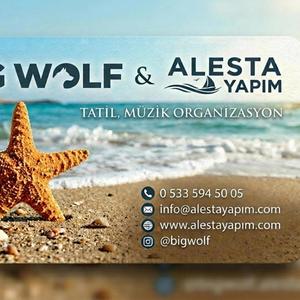 Je suis désormais un navire sans port et sans passager, (feat. alican koroğlu)