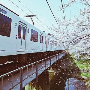 ば——か！