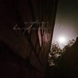 aydig  kaqlarda（翻自）