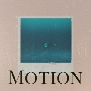 Motion