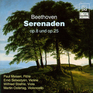 Serenade in D Major, Op. 25: VI. Adagio - Allegro vivace disinvolto