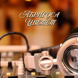 АБРИКОСА ЦВЕТЁТ