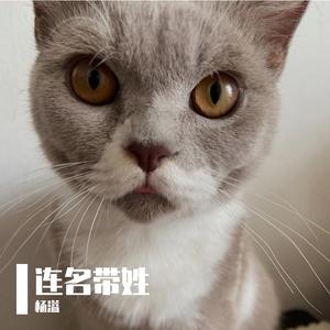 我知道你很难过