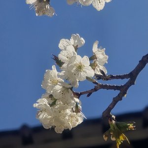 消逝在时光里的小山村