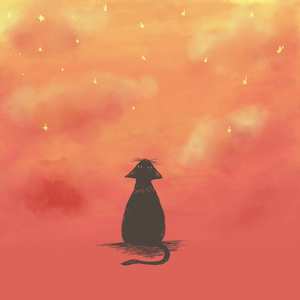 ねこが星さんを見た夜は